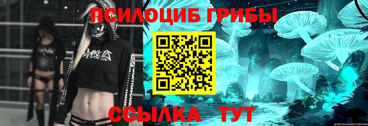 Галлюциногенные грибы Psilocybe  Вход с VPN  Воткинск 